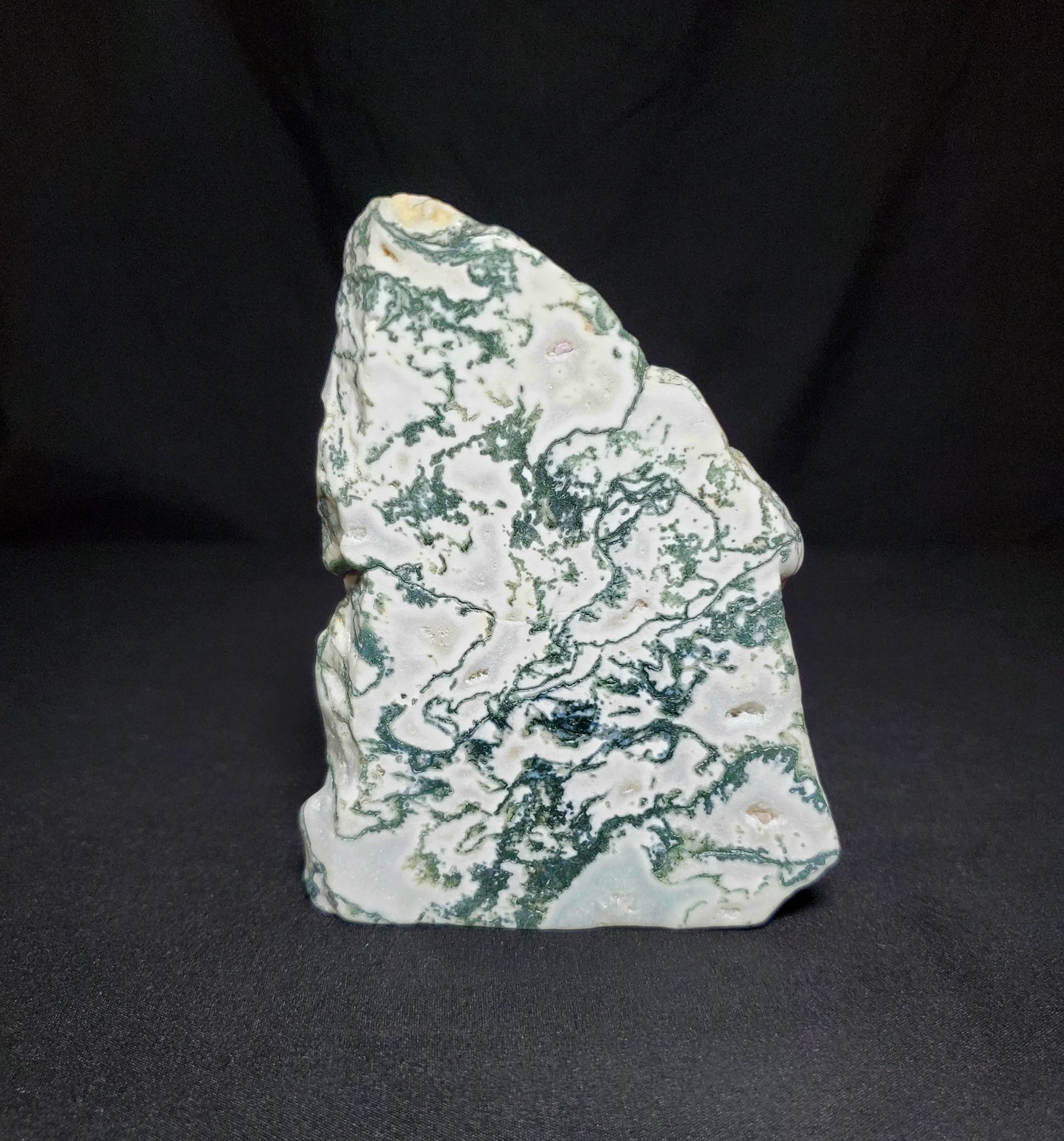 Tree Agate Slab