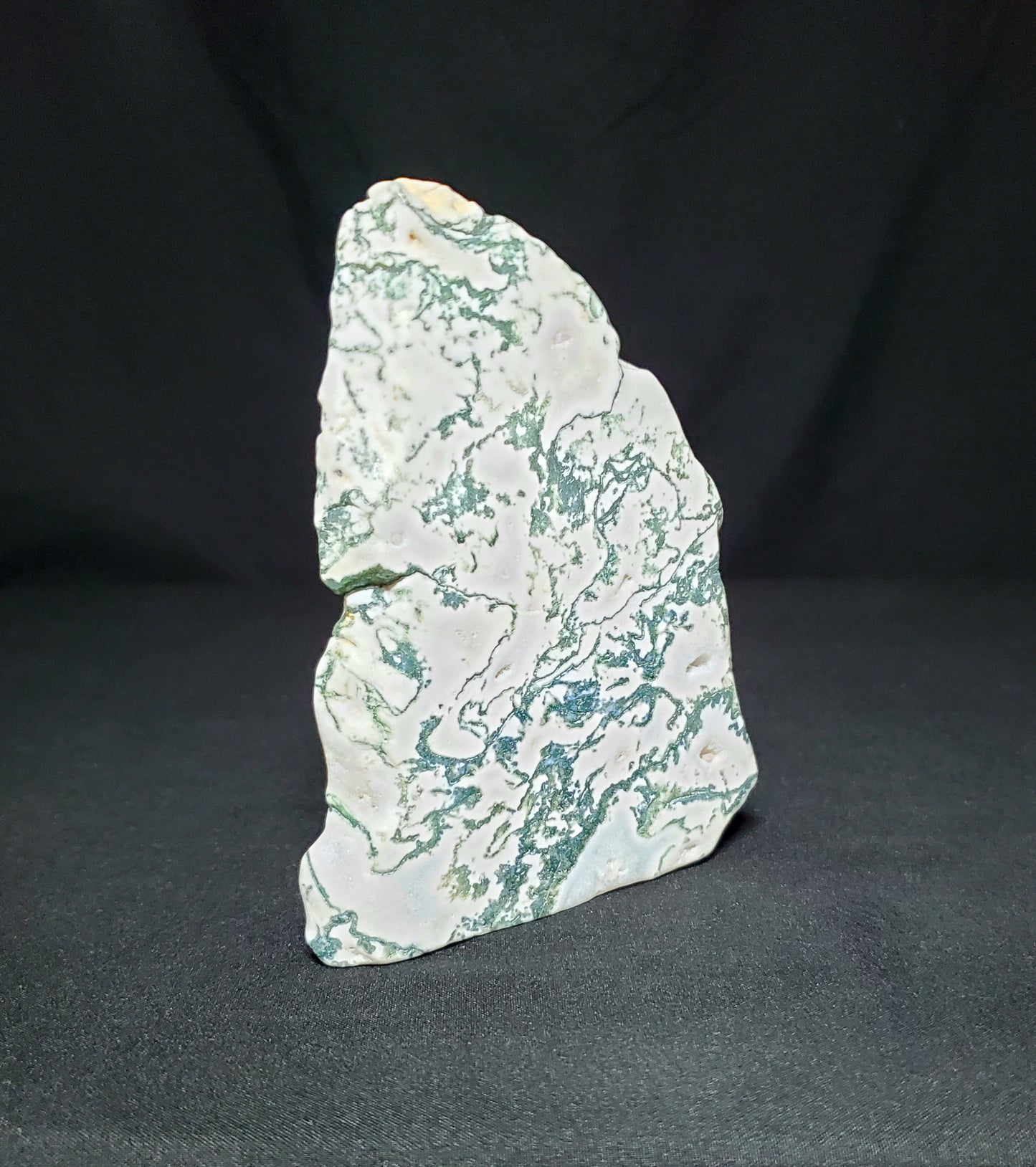 Tree Agate Slab