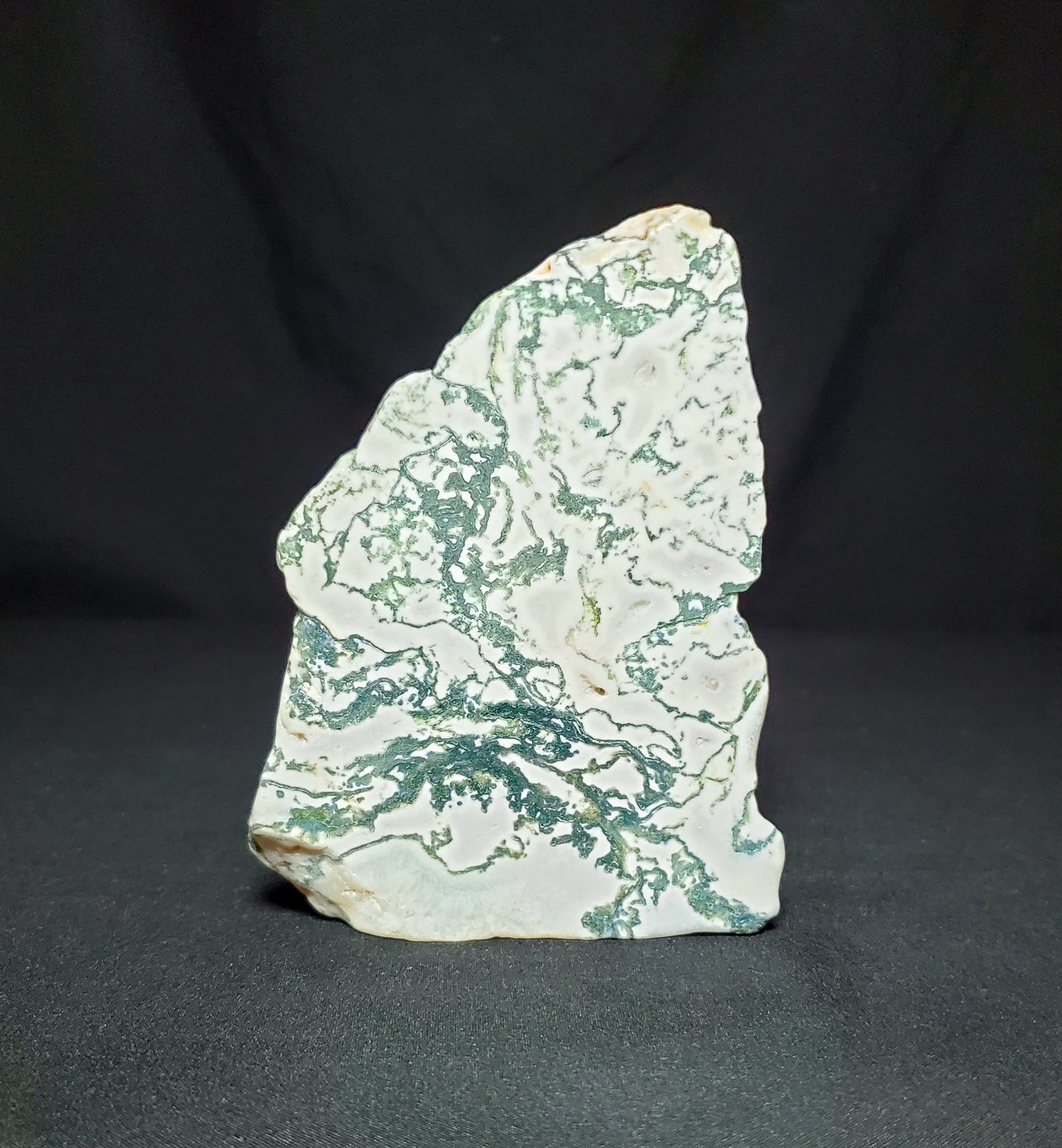 Tree Agate Slab