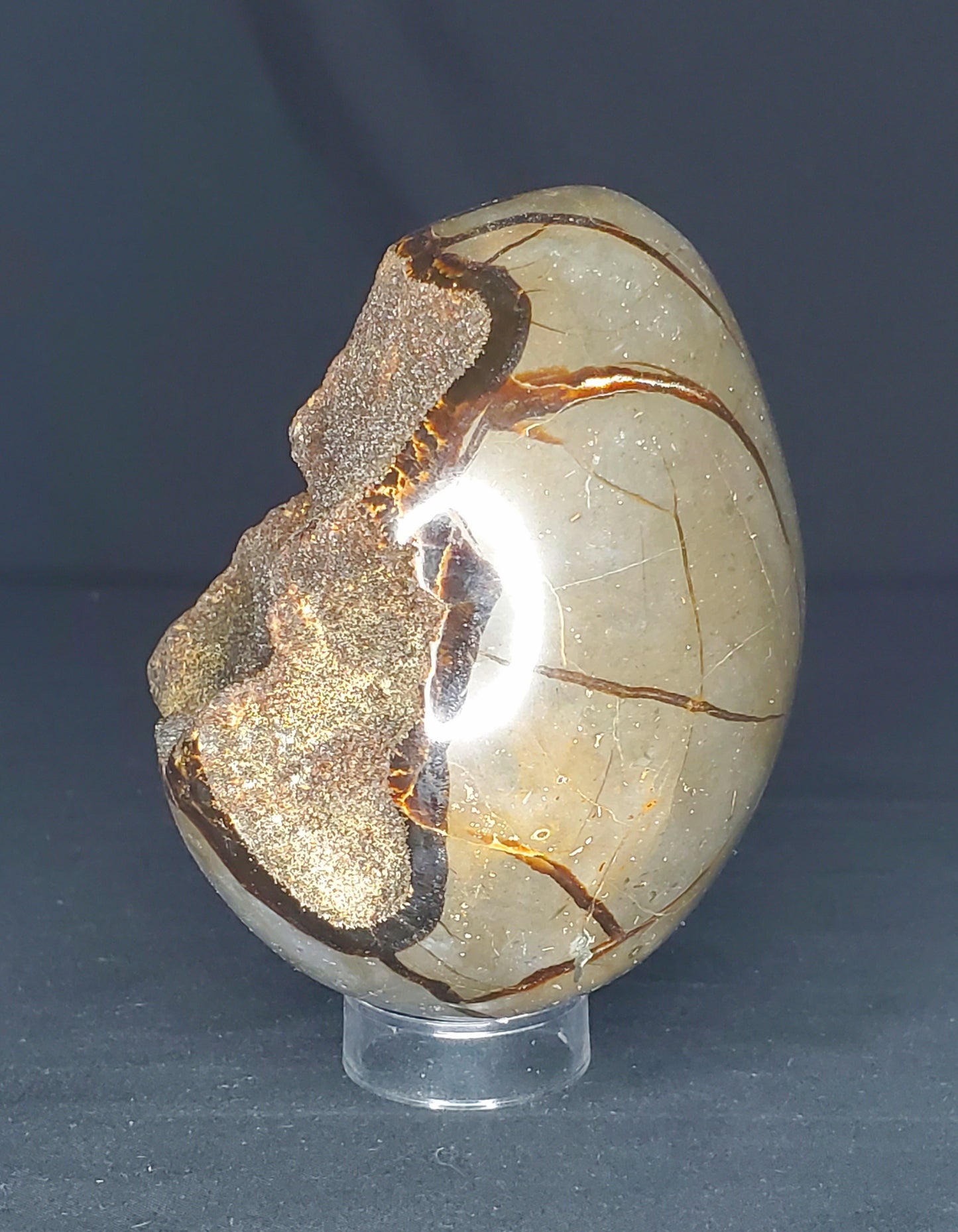 Druzy Septarian Egg