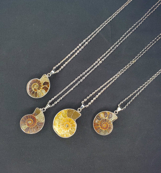 Ammonite Necklaces