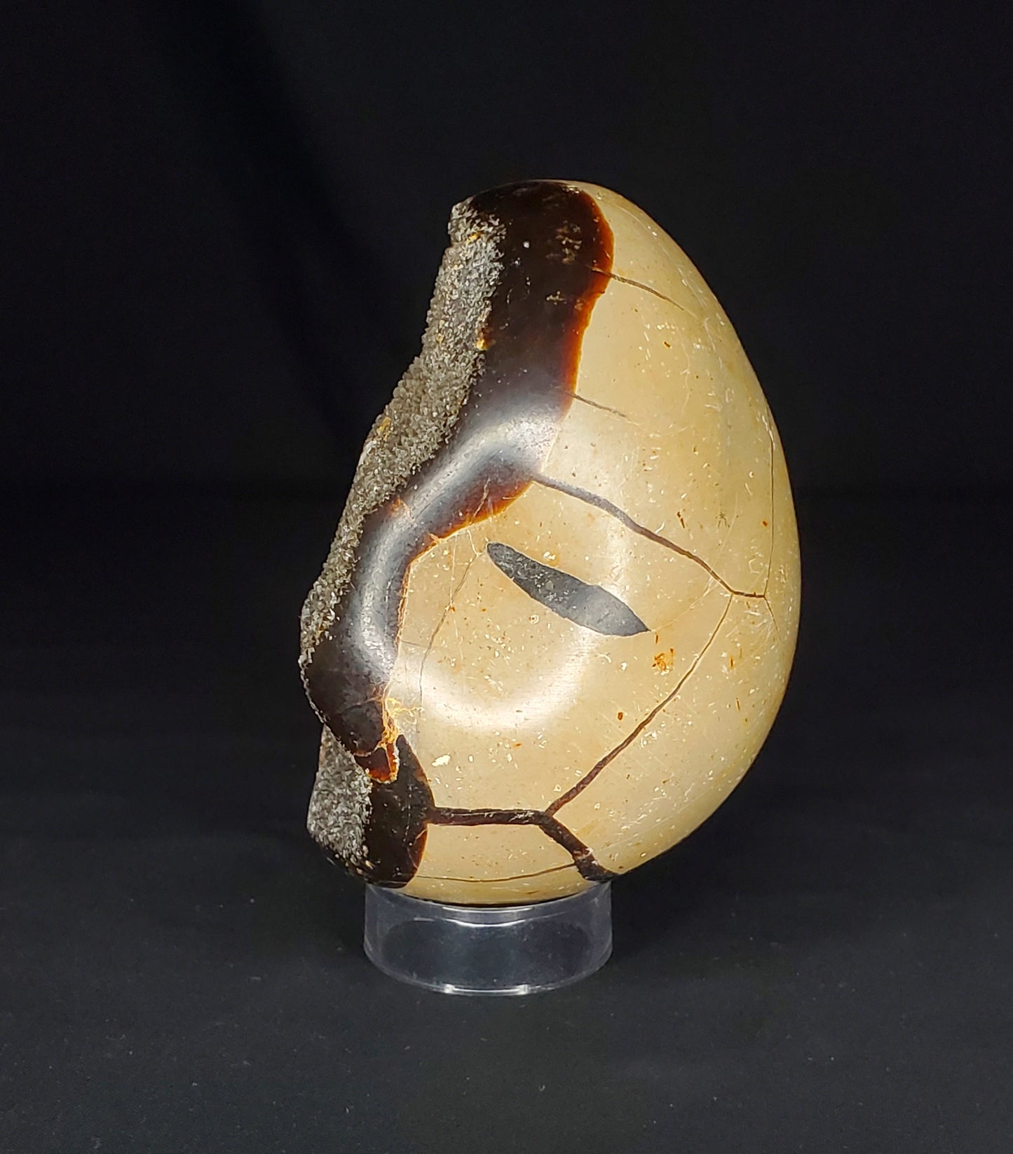 Druzy Septarian Egg