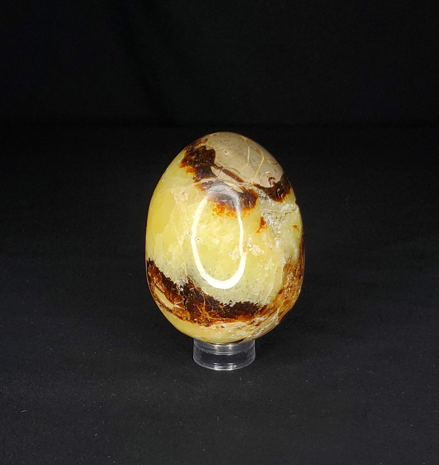 Septarian Egg