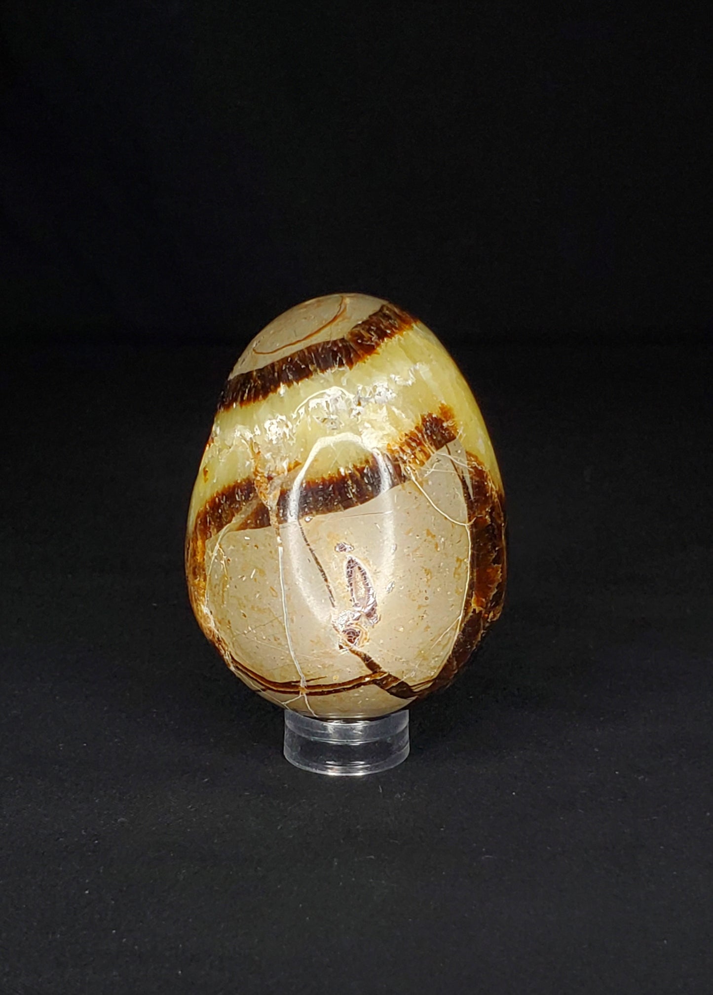 Septarian Egg