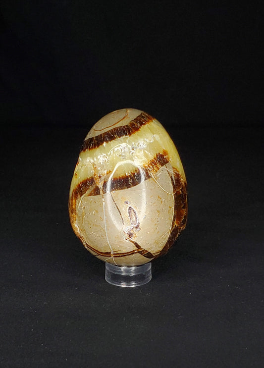 Septarian Egg