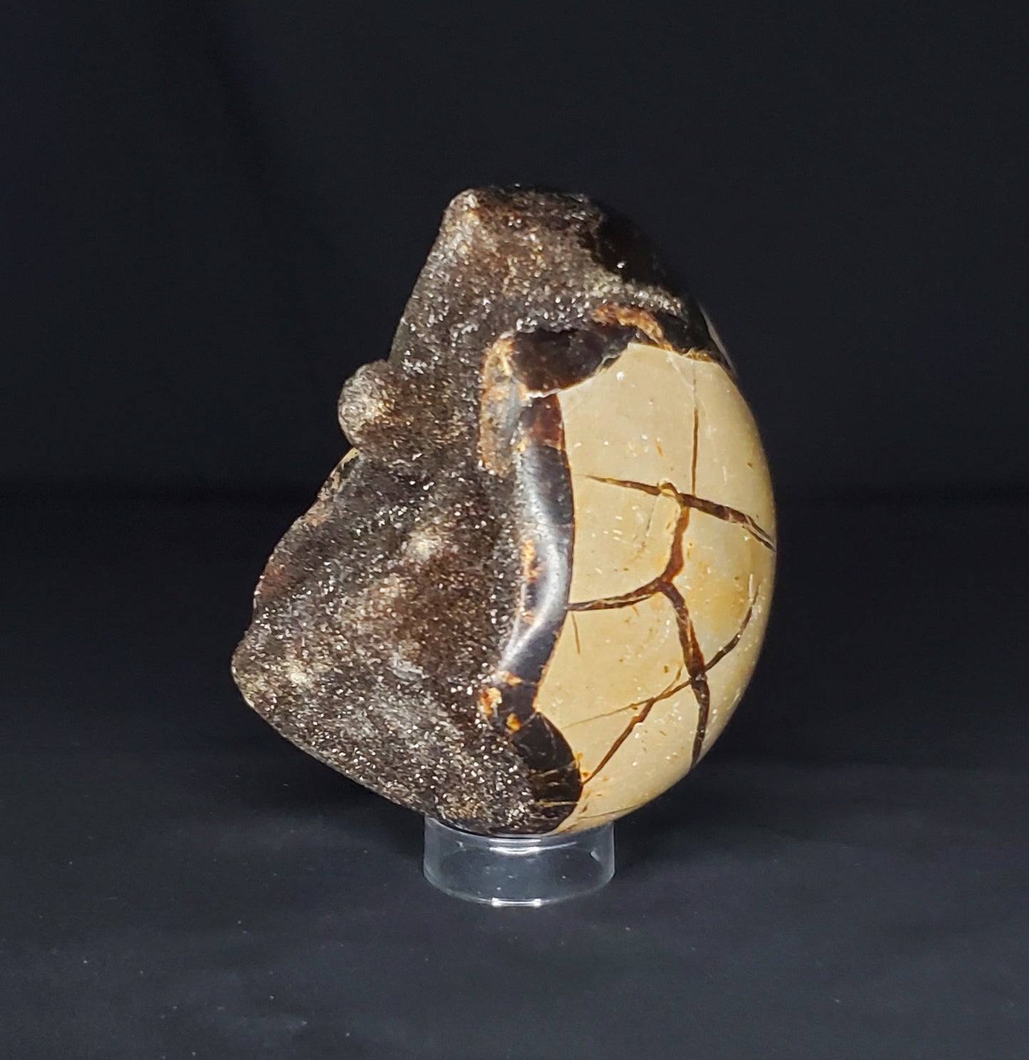 Druzy Septarian Egg