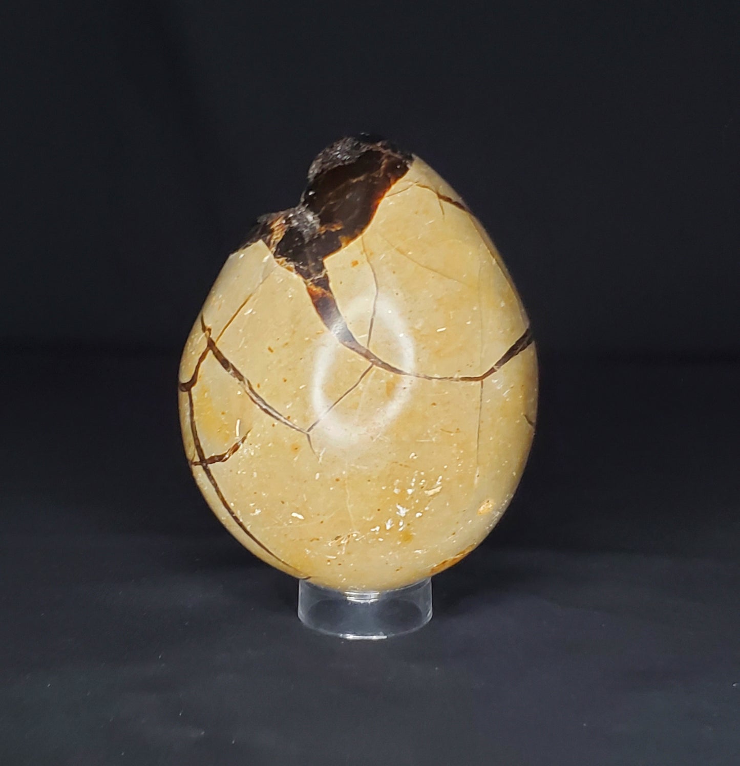 Druzy Septarian Egg