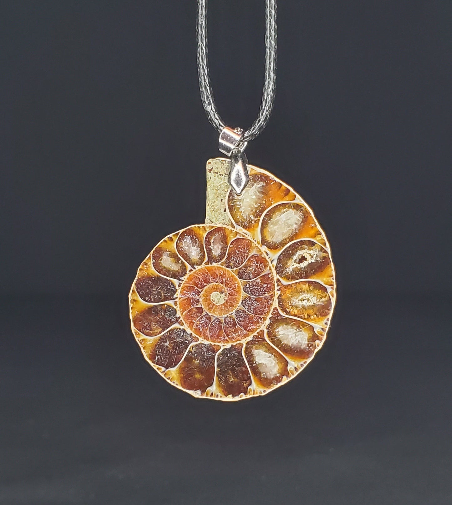 Ammonite Necklaces