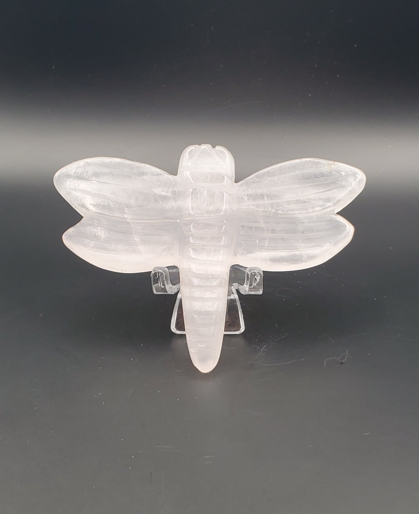 Dragonfly Carving