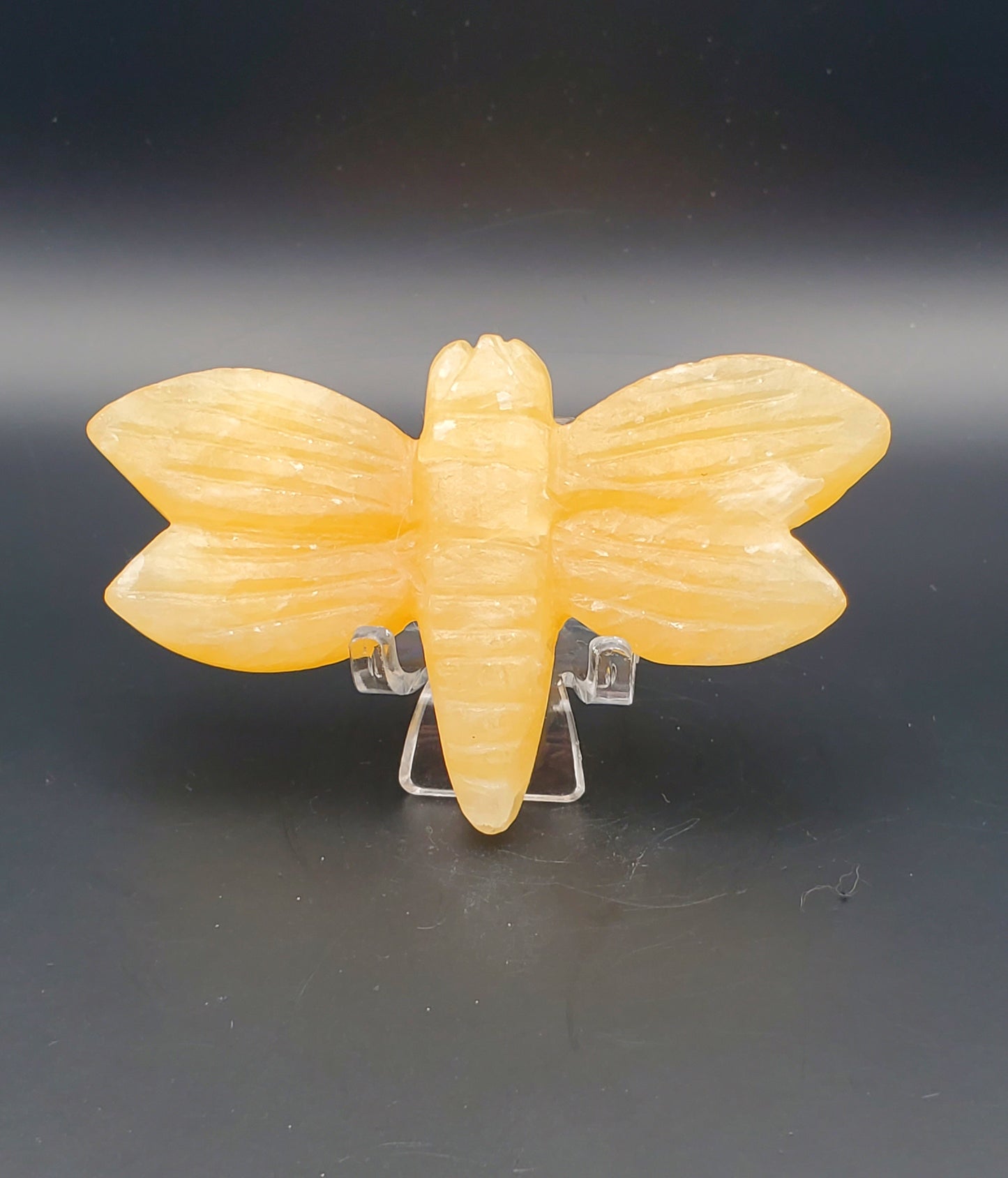 Dragonfly Carving