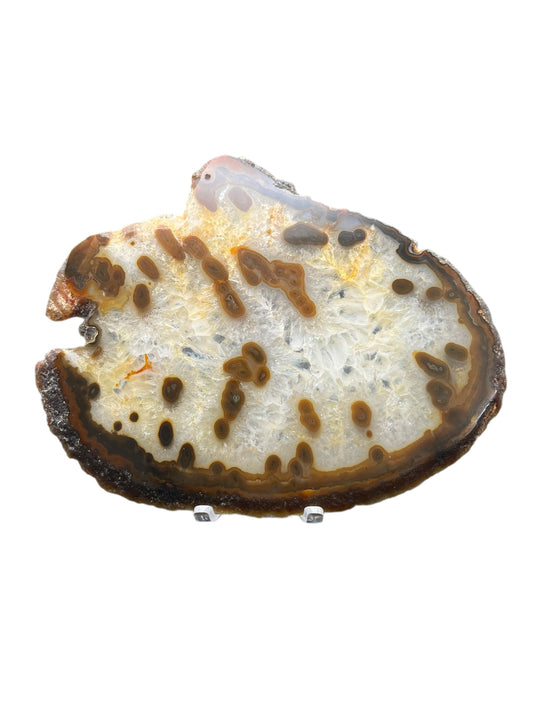 Brazilian Agate Slab