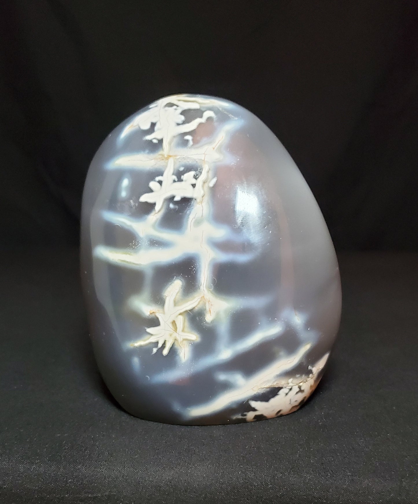 Orca Agate Freeform
