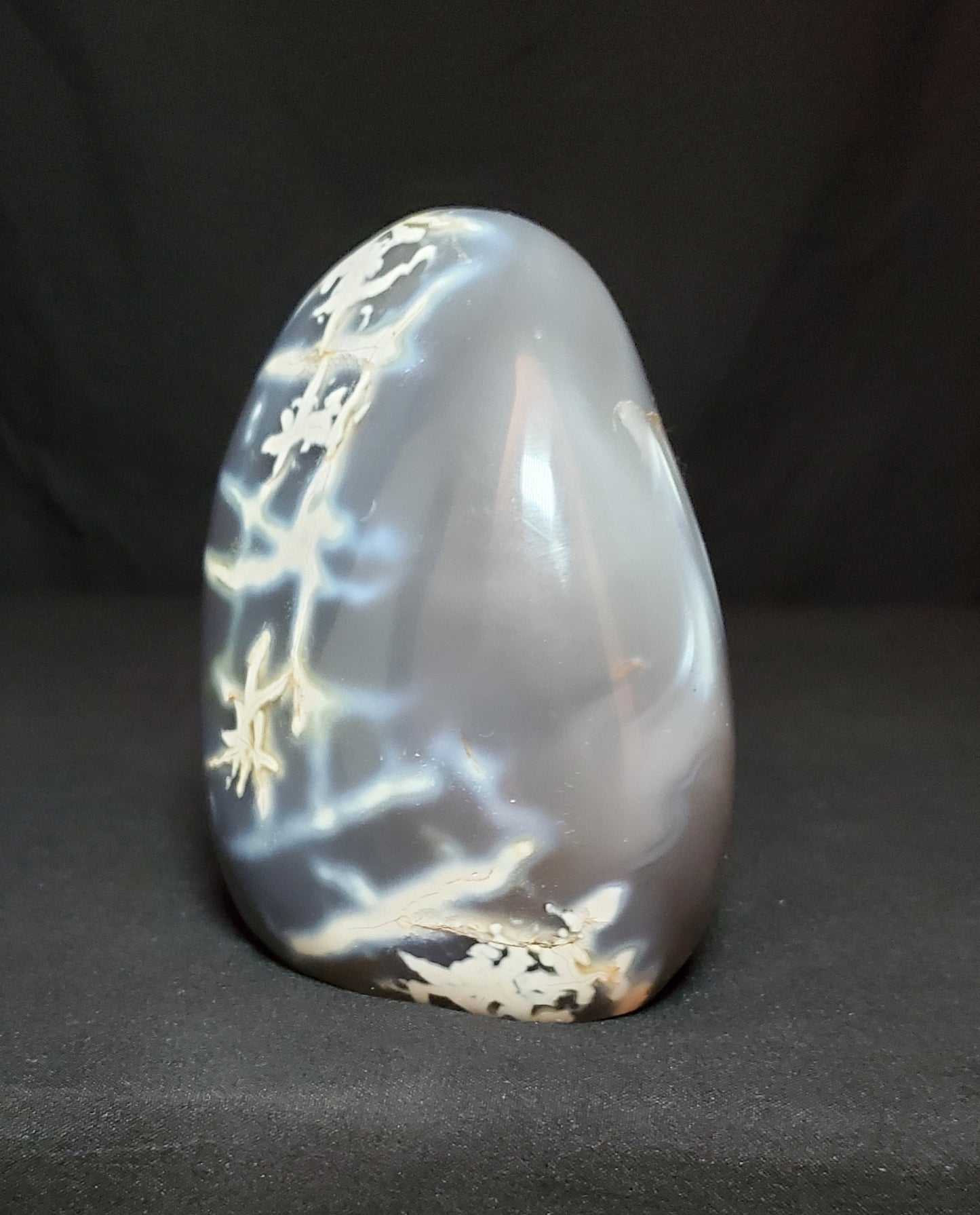 Orca Agate Freeform