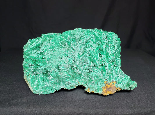 Malachite Freeform