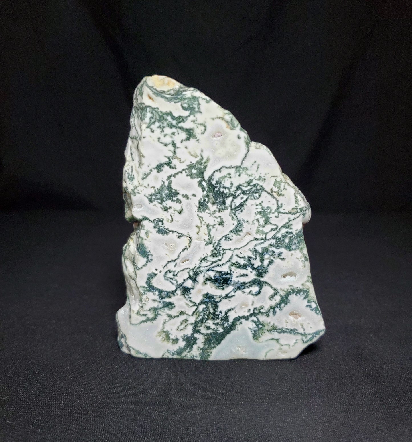 Tree Agate Slab #