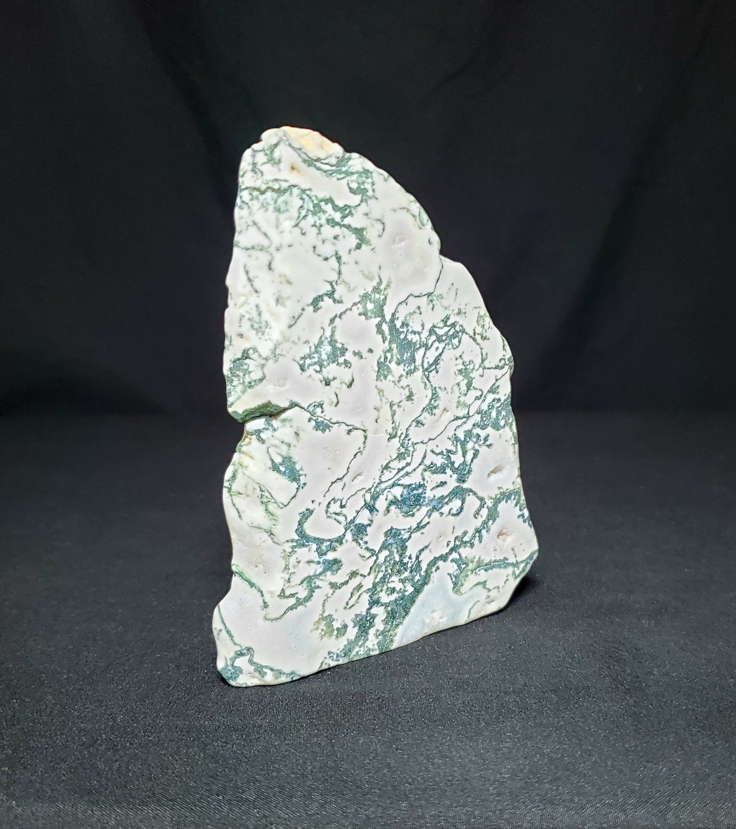 Tree Agate Slab #