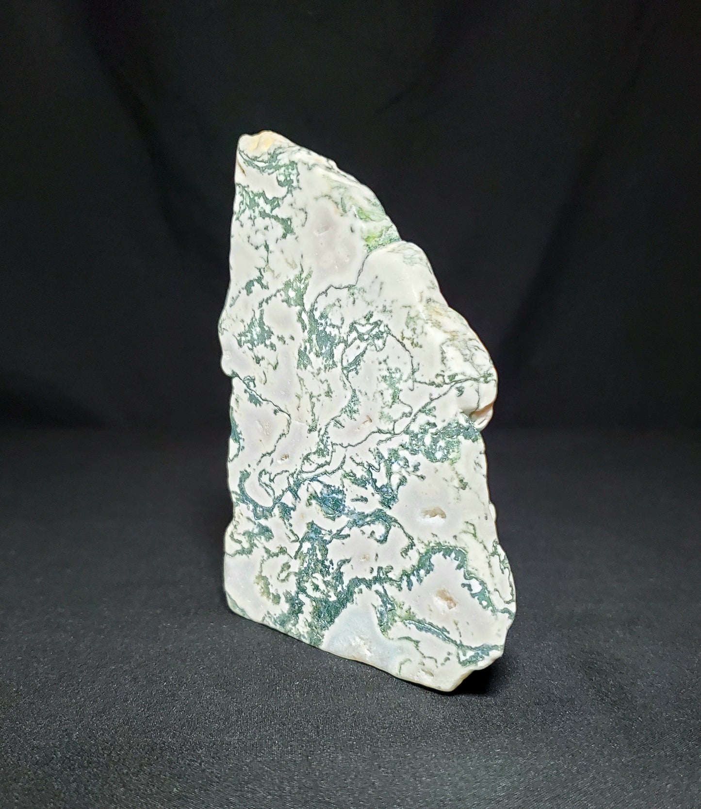 Tree Agate Slab #