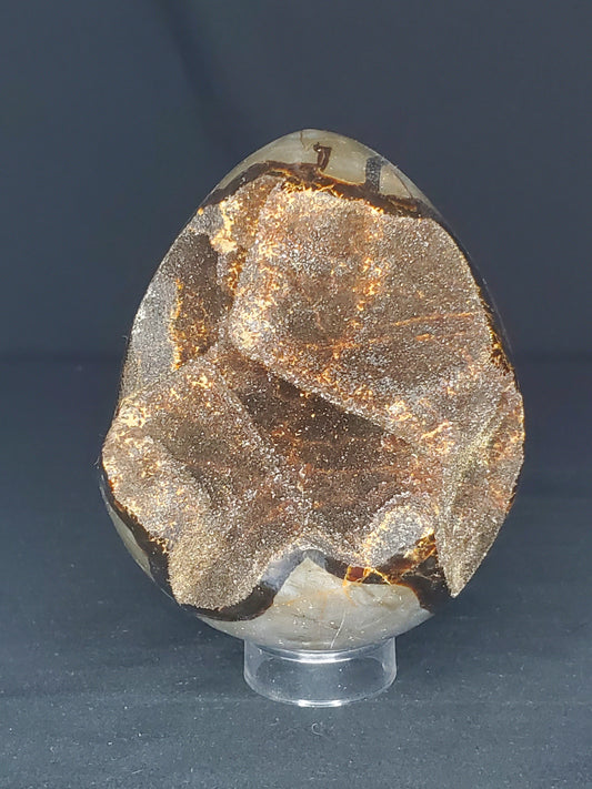 Druzy Septarian Egg