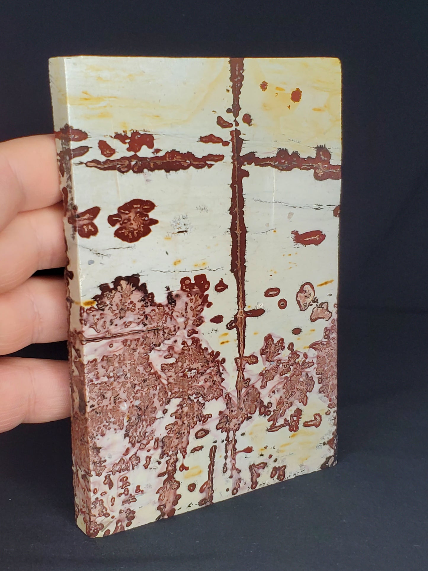 Picture Jasper Slab #