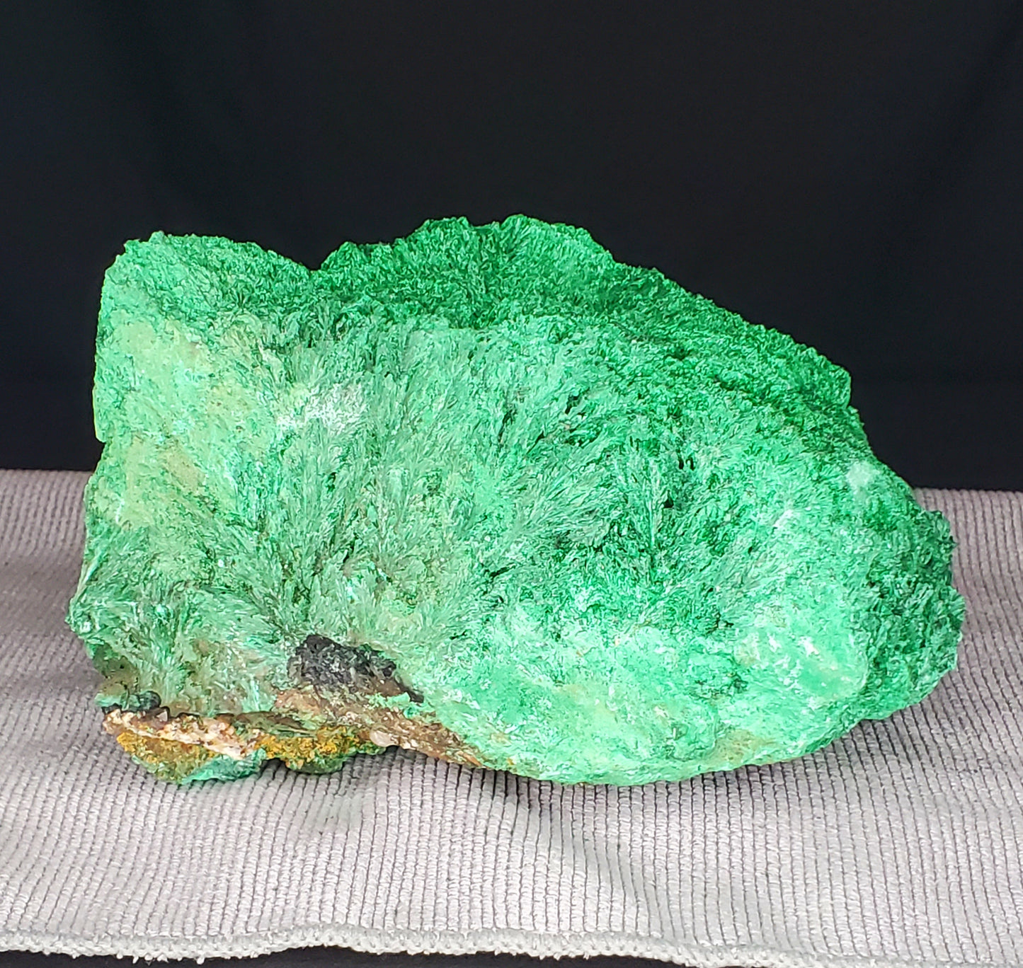 Malachite Freeform #