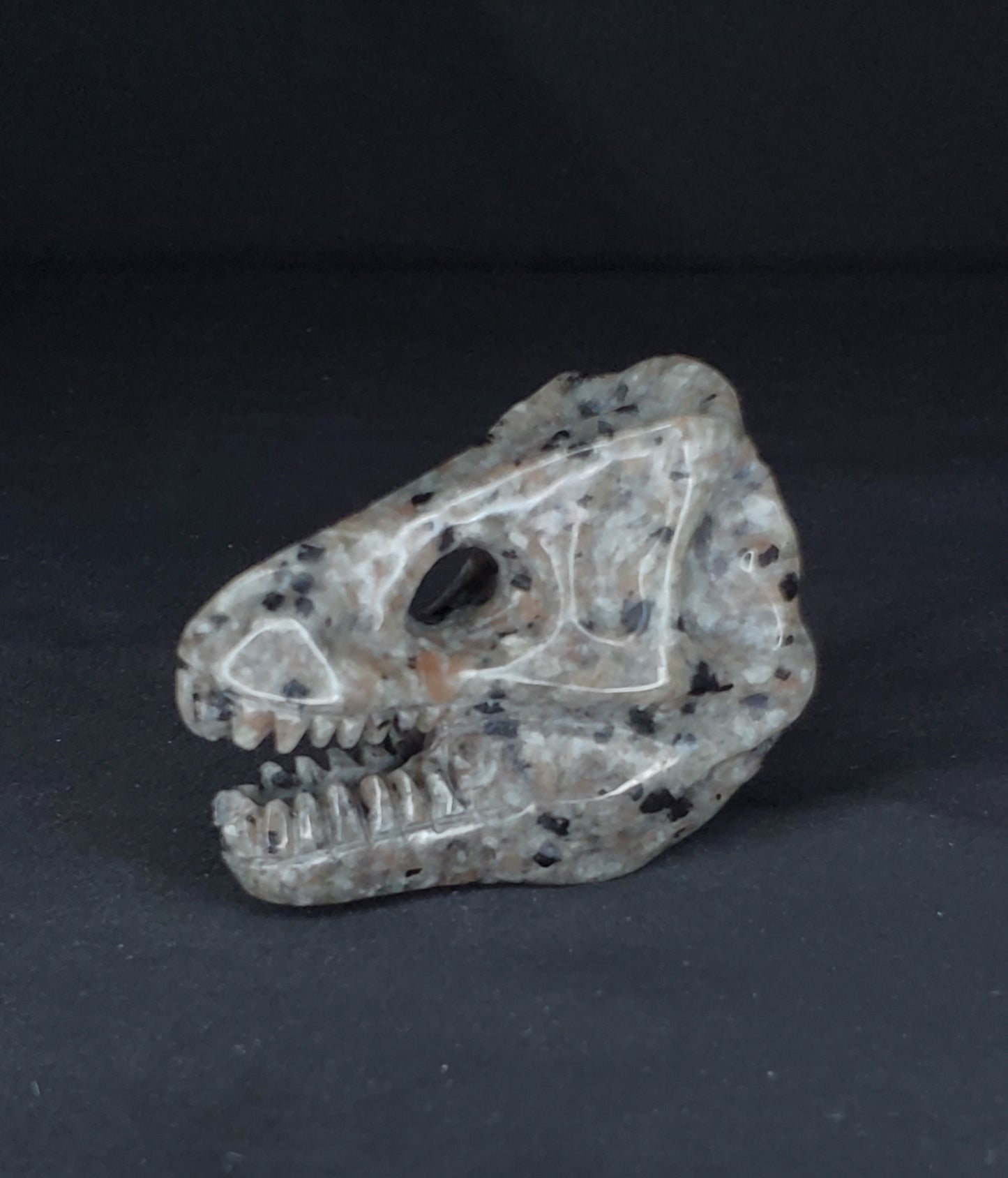 Yooperlite T-Rex Head Carving