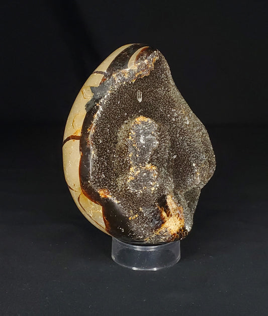 Druzy Septarian Egg