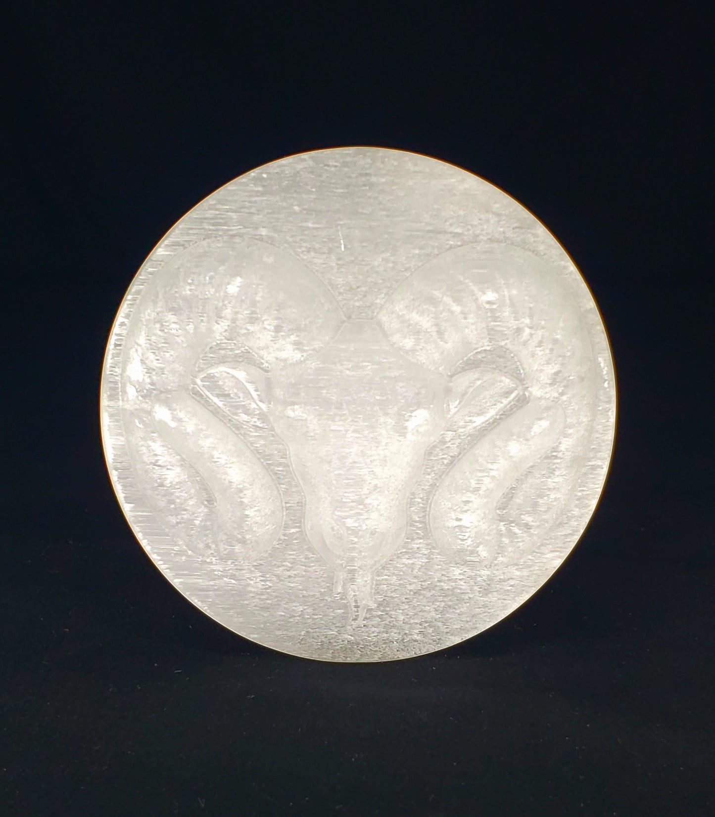 Selenite Zodiac Sign Discs #