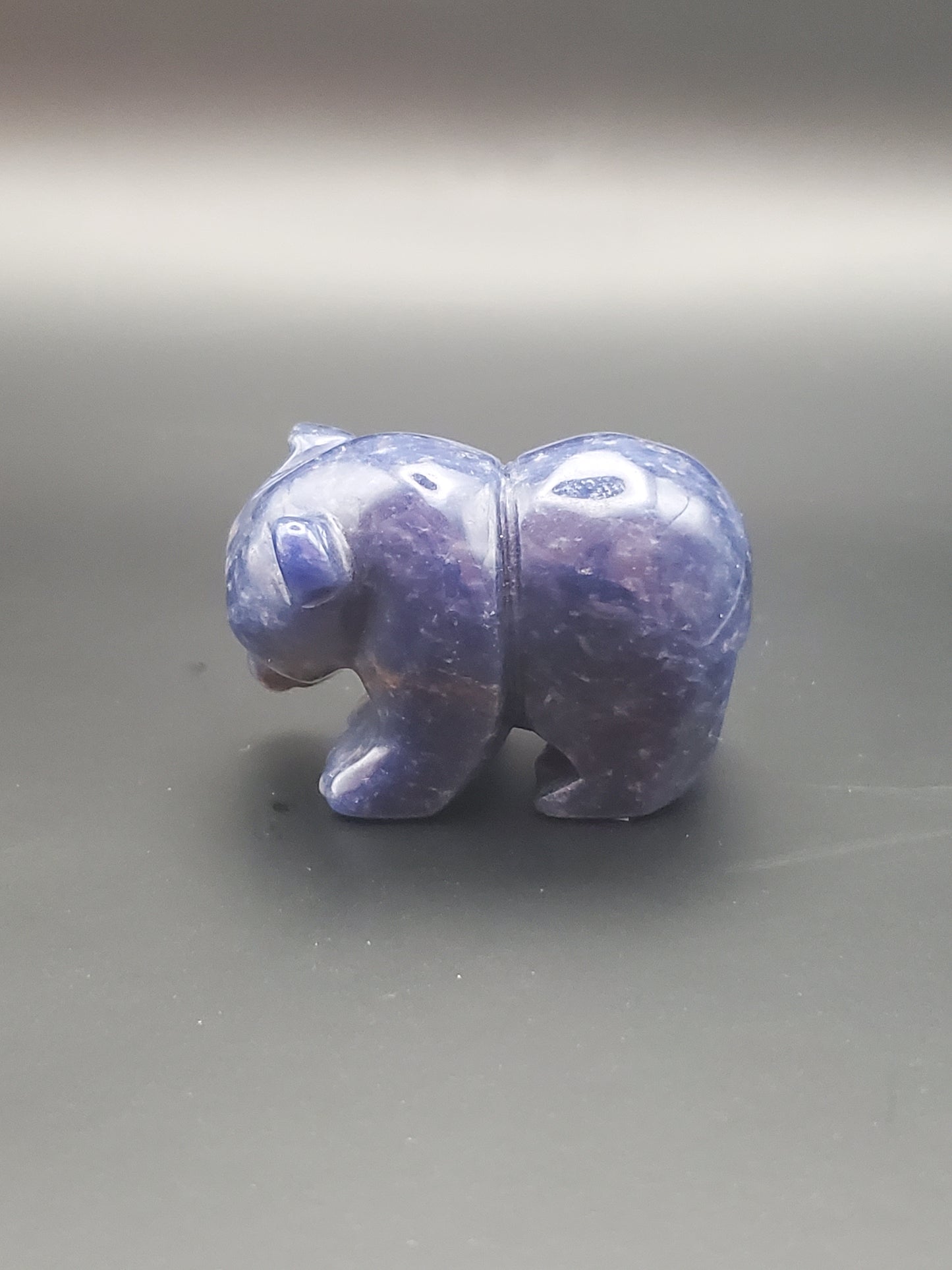 Sodalite Bear Carving