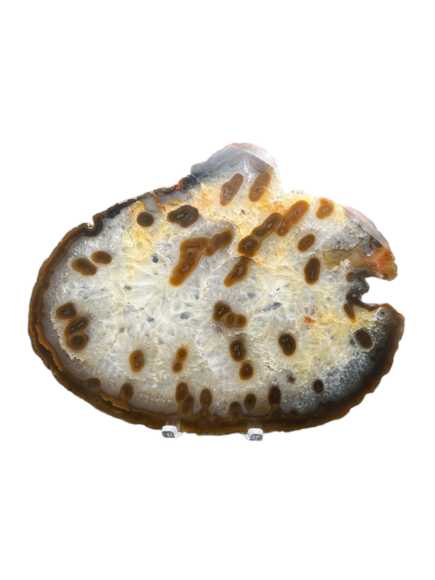 Brazilian Agate Slab