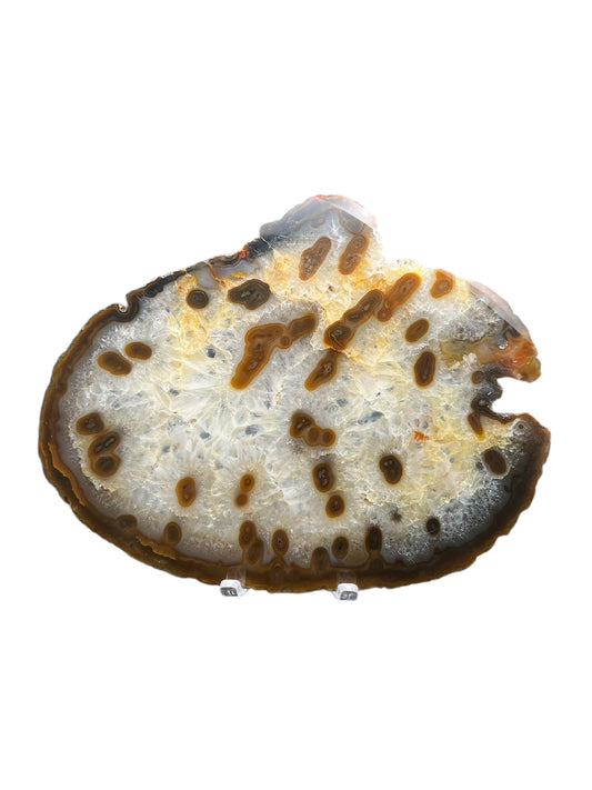 Brazilian Agate Slab