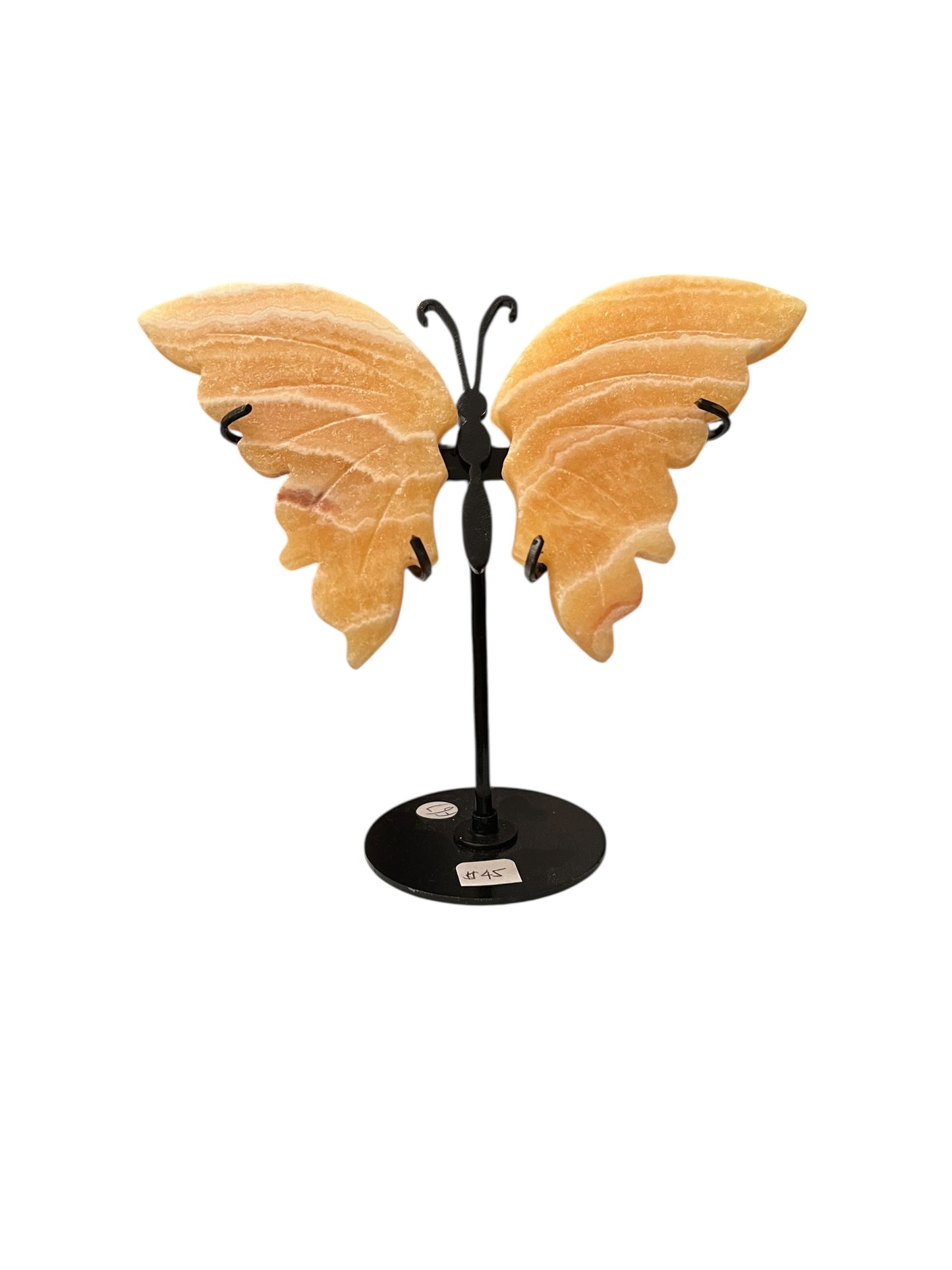 Butterfly Wings - Carvings