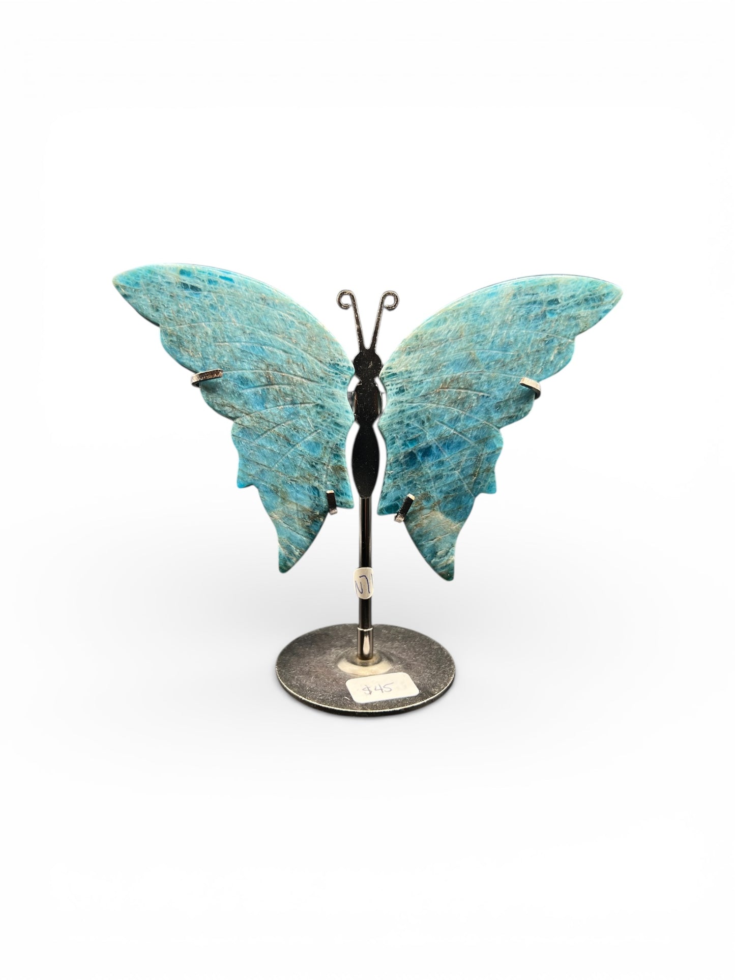 Butterfly Wings - Carvings