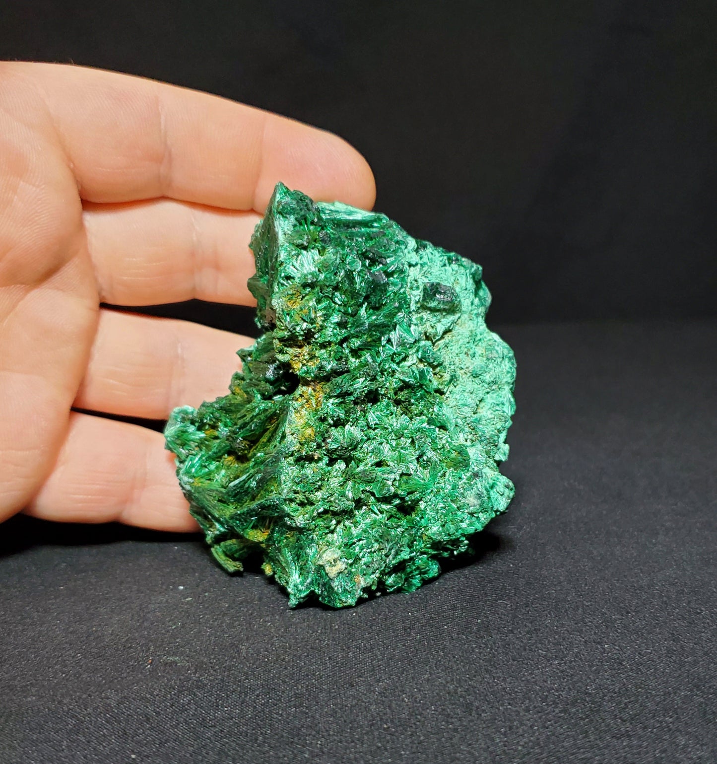 Malachite Freeform #