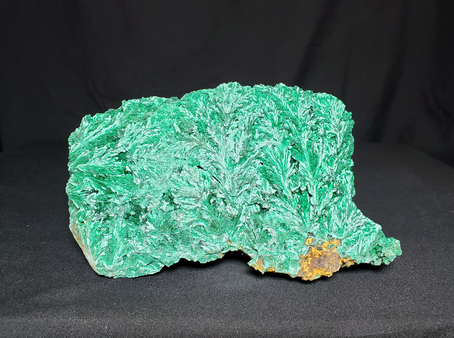 Malachite Freeform #